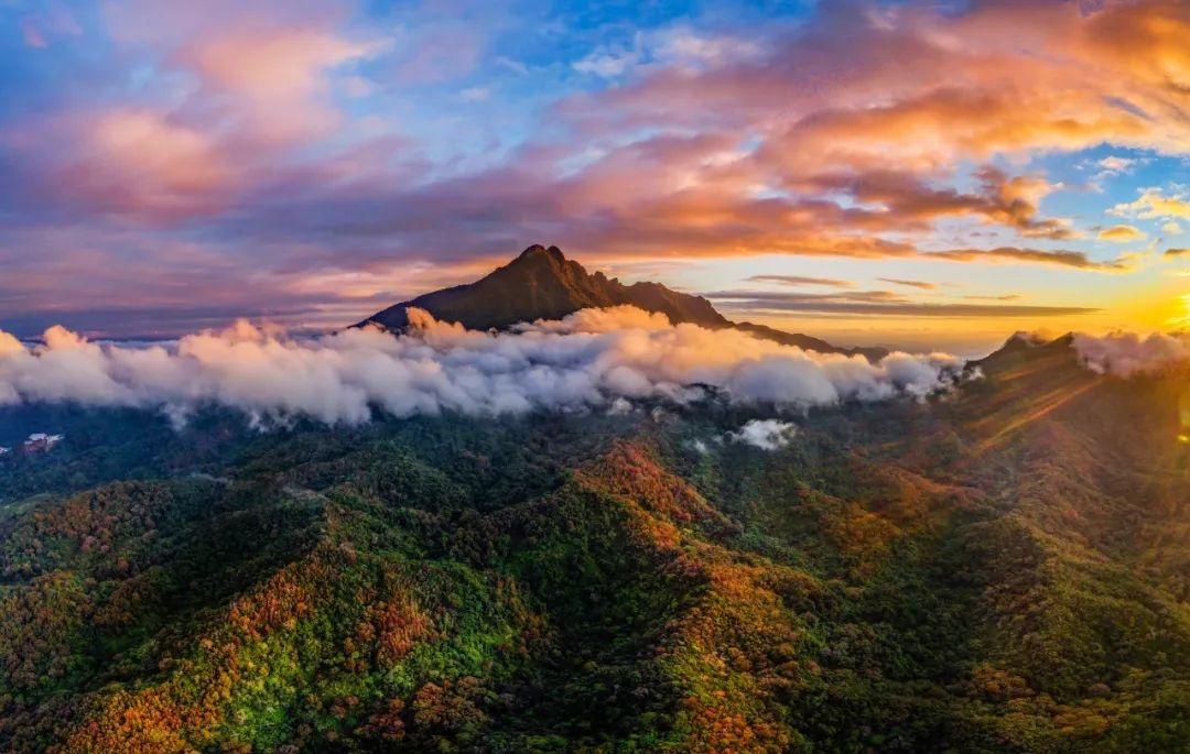 點(diǎn)翠煥彩有新篇——美麗中國建設實(shí)踐故事